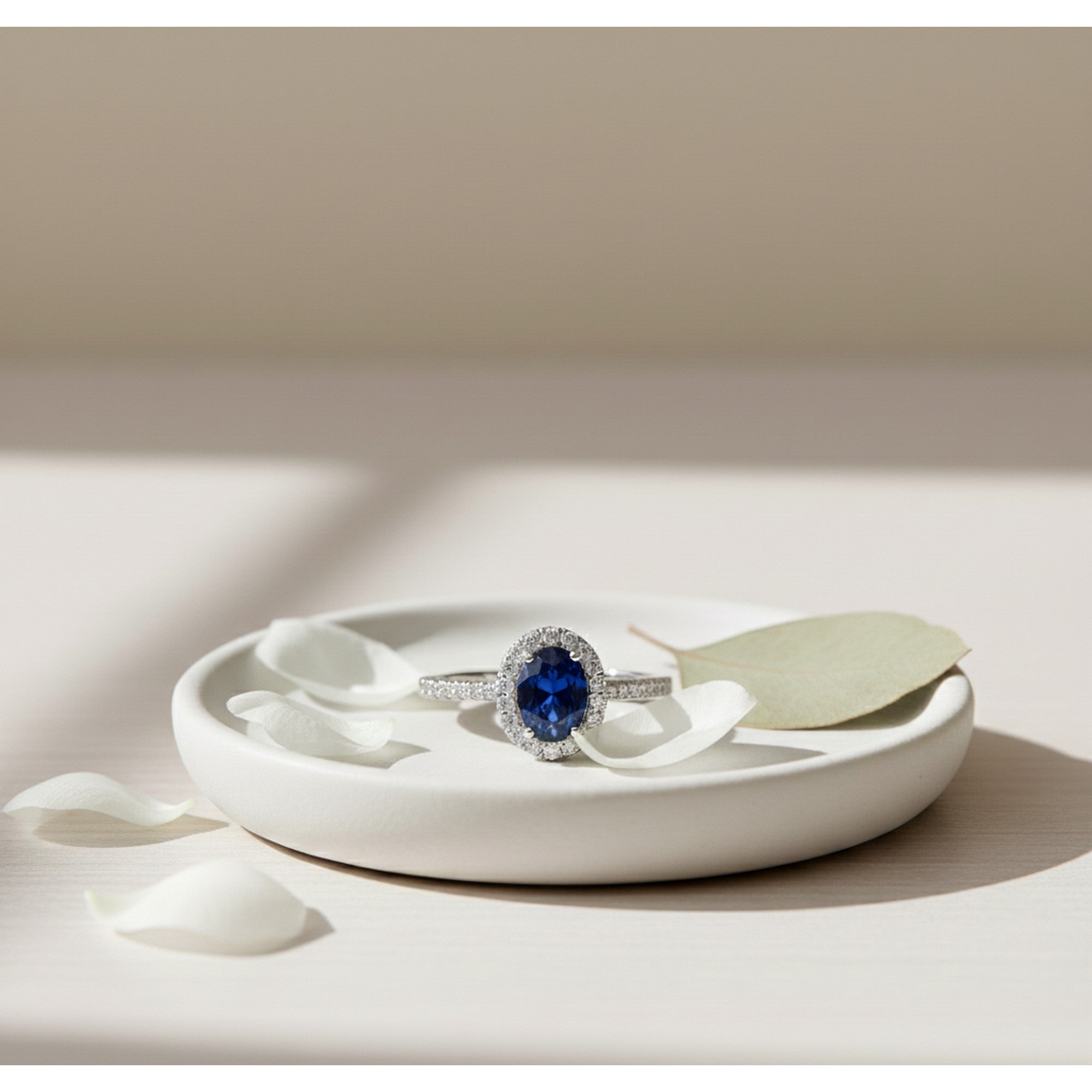 9ct White Gold Sapphire & 0.25ct Diamond Halo Ring DSR763WIT