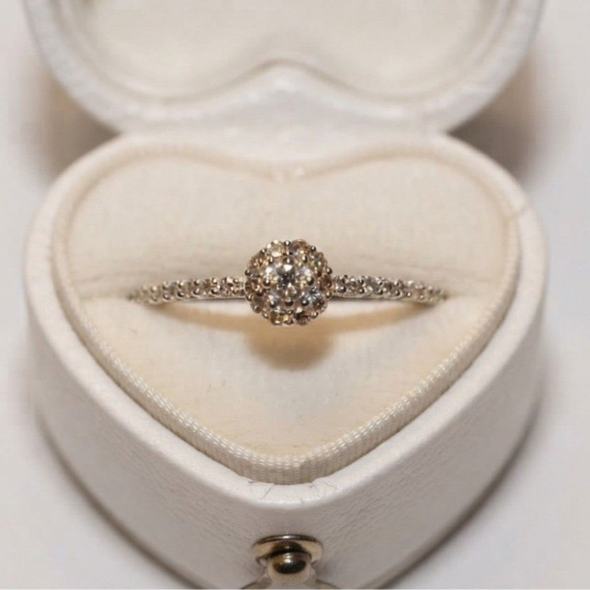9ct White Gold 0.23ct Diamond Small Cluster Ring 11116